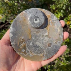 Orthoceras Fossil Stone Decorative Dish